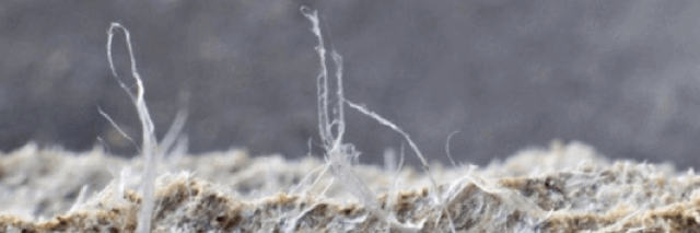 Asbestos fibers