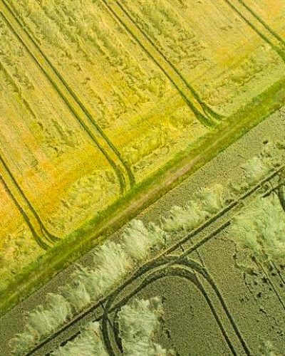 Crop loss