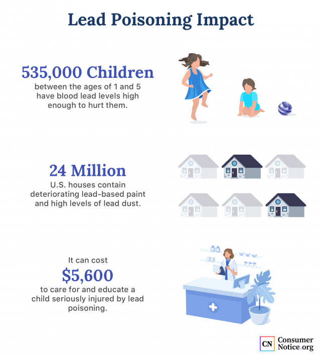 Lead poisoning impact infographic