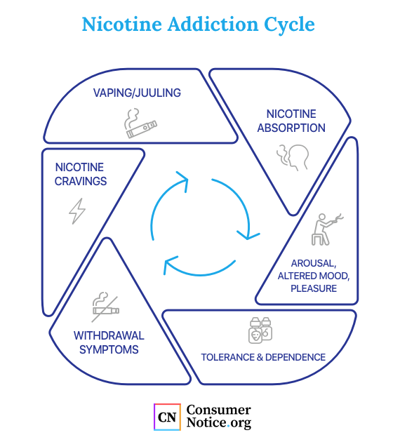Infographic about nicotine addiction cycle