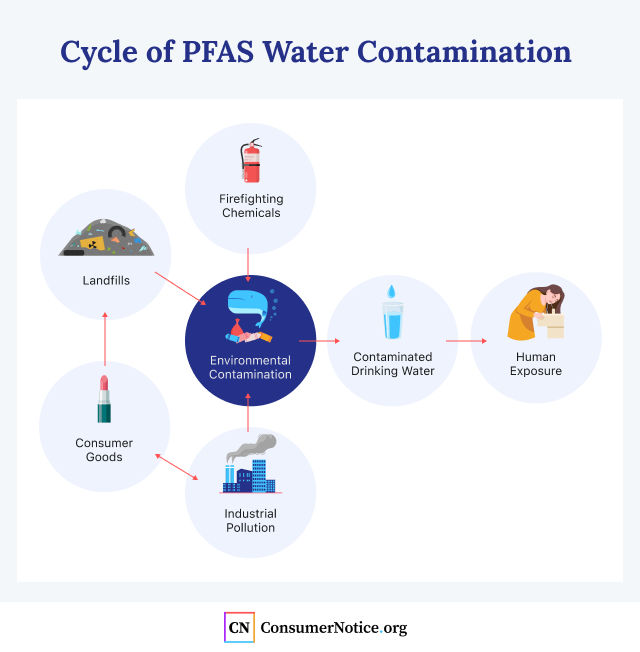 PFAS Water Contamination Cycle