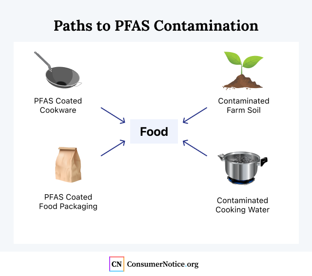 Different pathways to PFAS contamination in food