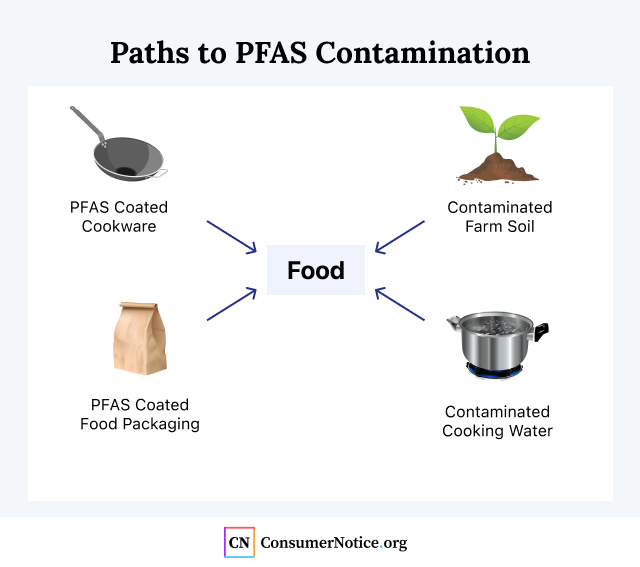 PFAS-free base paper for baking