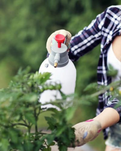Woman spraying pesticide in garden