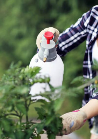 Woman spraying pesticide in garden