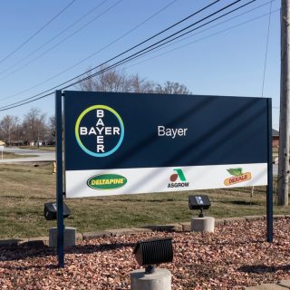 Bayer sign