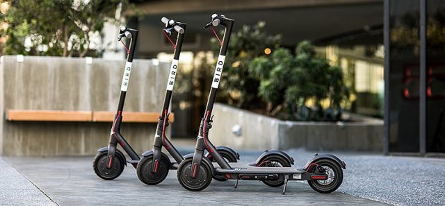 Bird scooters parked on sidewalk