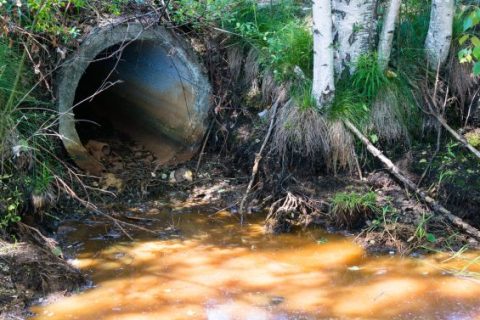 Sewer pipe with brown water