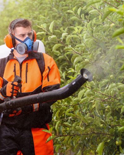Man spraying pesticides on crops