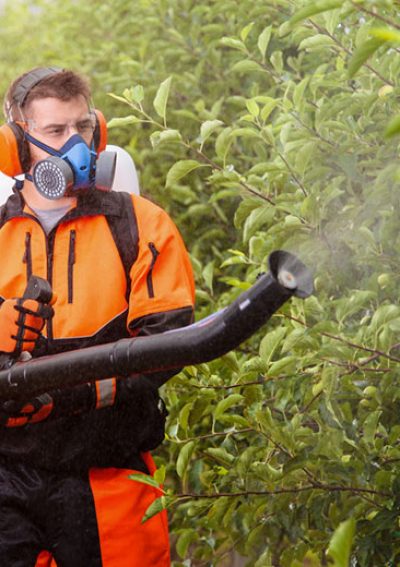 Man spraying pesticides on crops