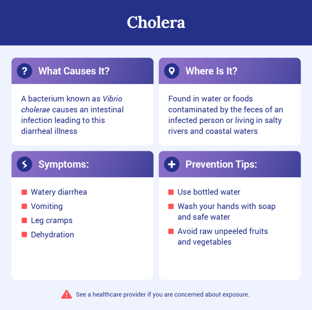 Graphic explaining what cholera is.