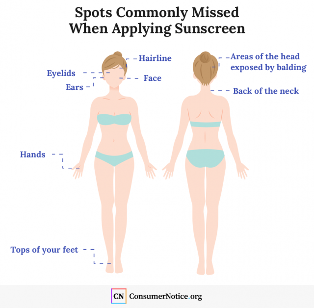 Infographic of commonly missed spots when applying sunscreen