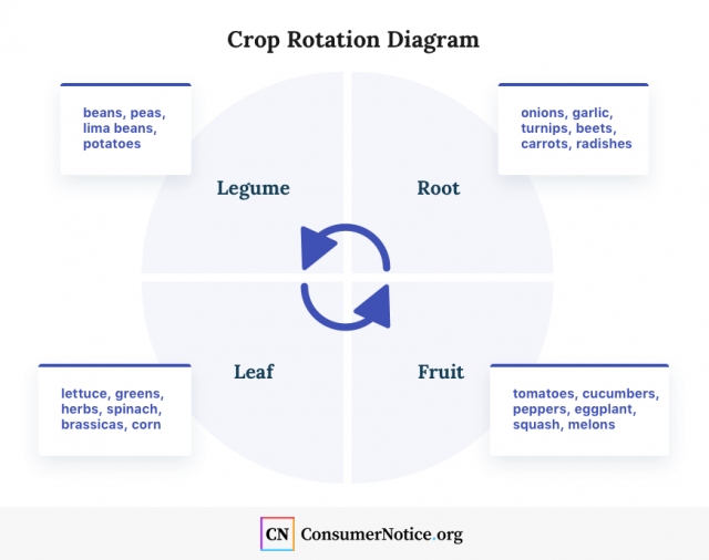 Crop rotation diagram
