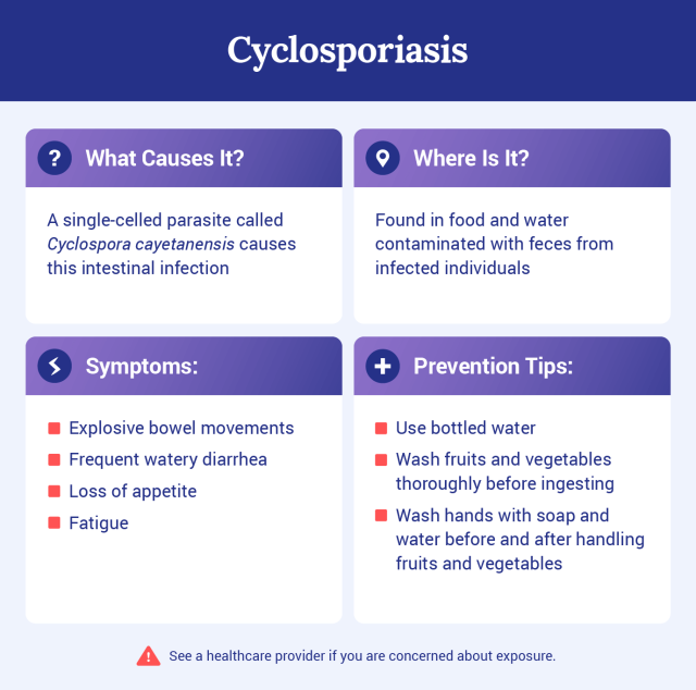 Graphic explaining what cyclosporiasis is.
