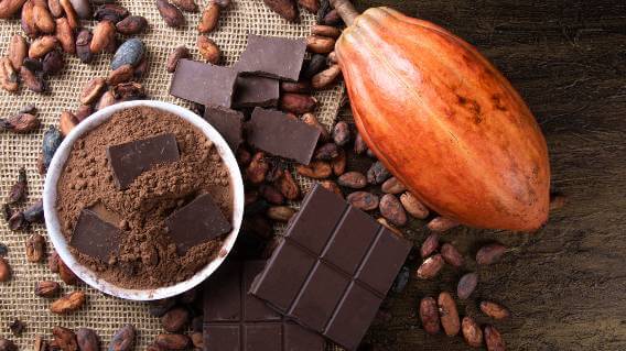 Dark chocolate and cacao beans