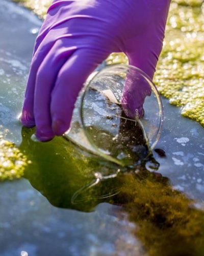 Taking samples of contaminated water