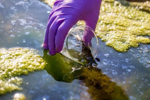 Taking samples of contaminated water