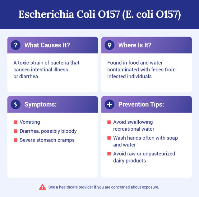 Graphic explaining what E. coli O157 is.