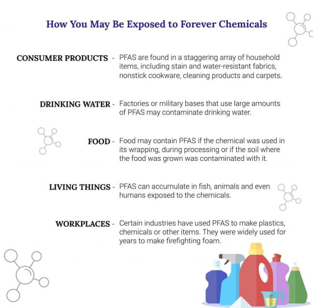 How Exposure to Forever Chemicals Occurs Infographic