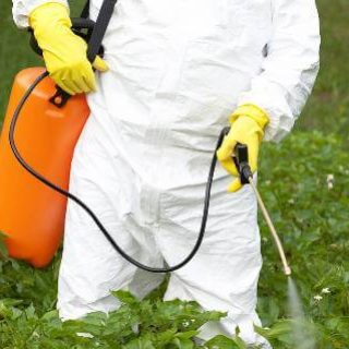 Person in protective gear spraying weed killer