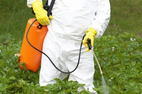 Person in protective gear spraying weed killer
