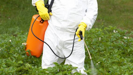 Person in protective gear spraying weed killer