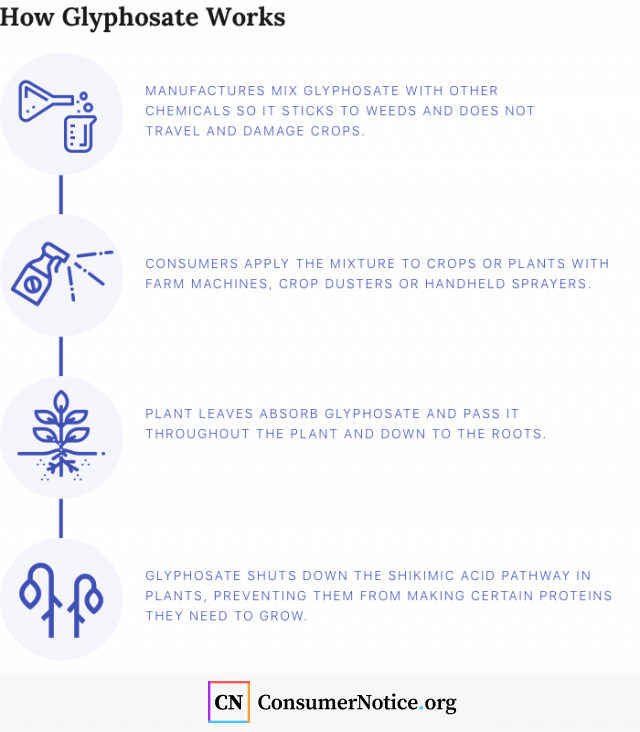 Glyphosate infographic