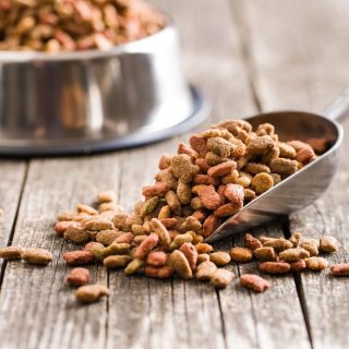 Scooper with dry dog food and a bowl filled with dry dog food