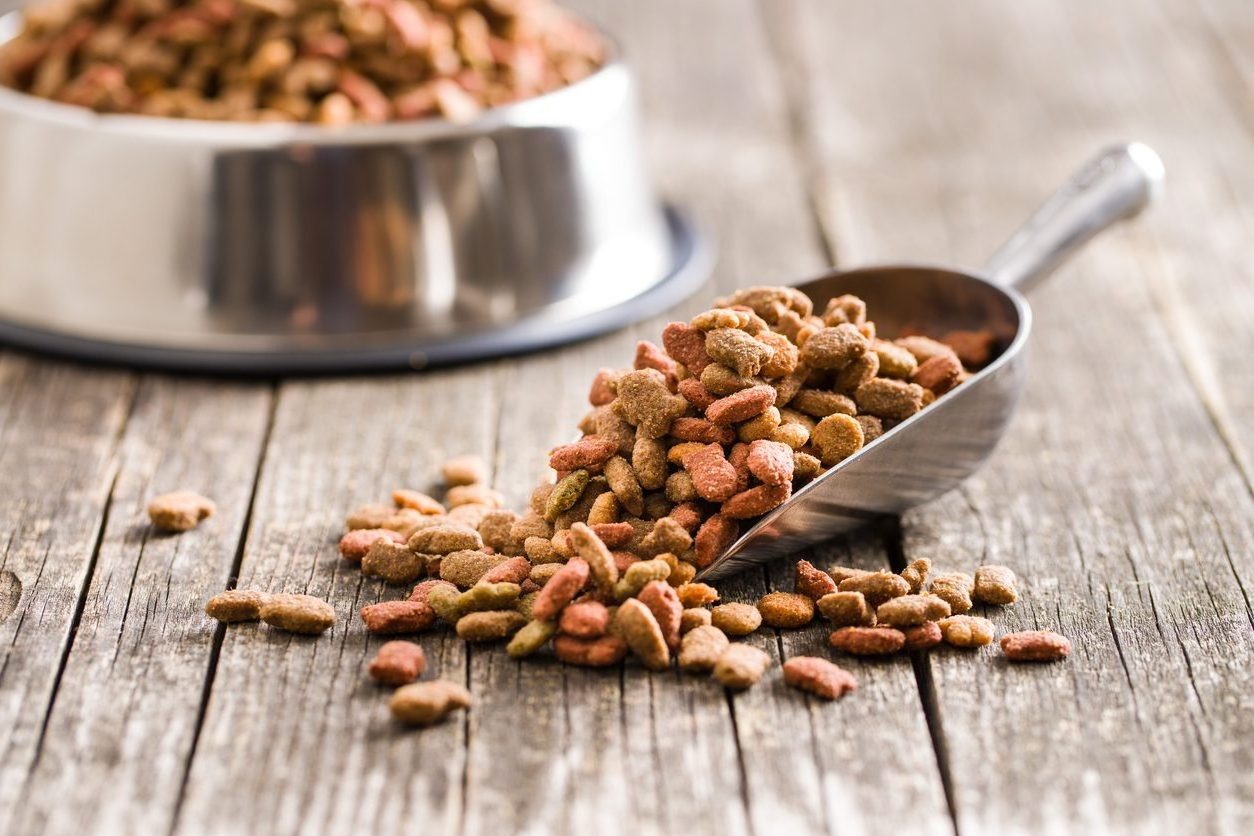 Scooper with dry dog food and a bowl filled with dry dog food