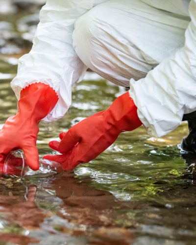 Scientist examining toxic water samples