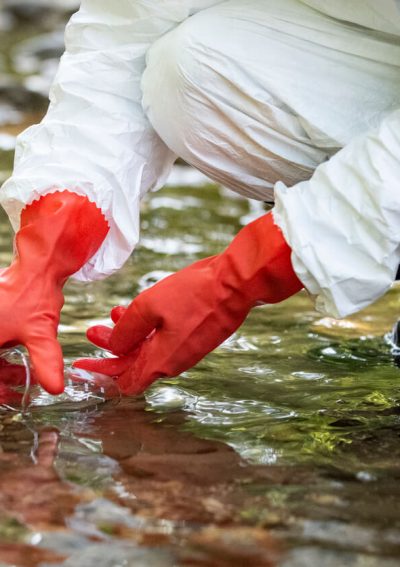 Scientist examining toxic water samples