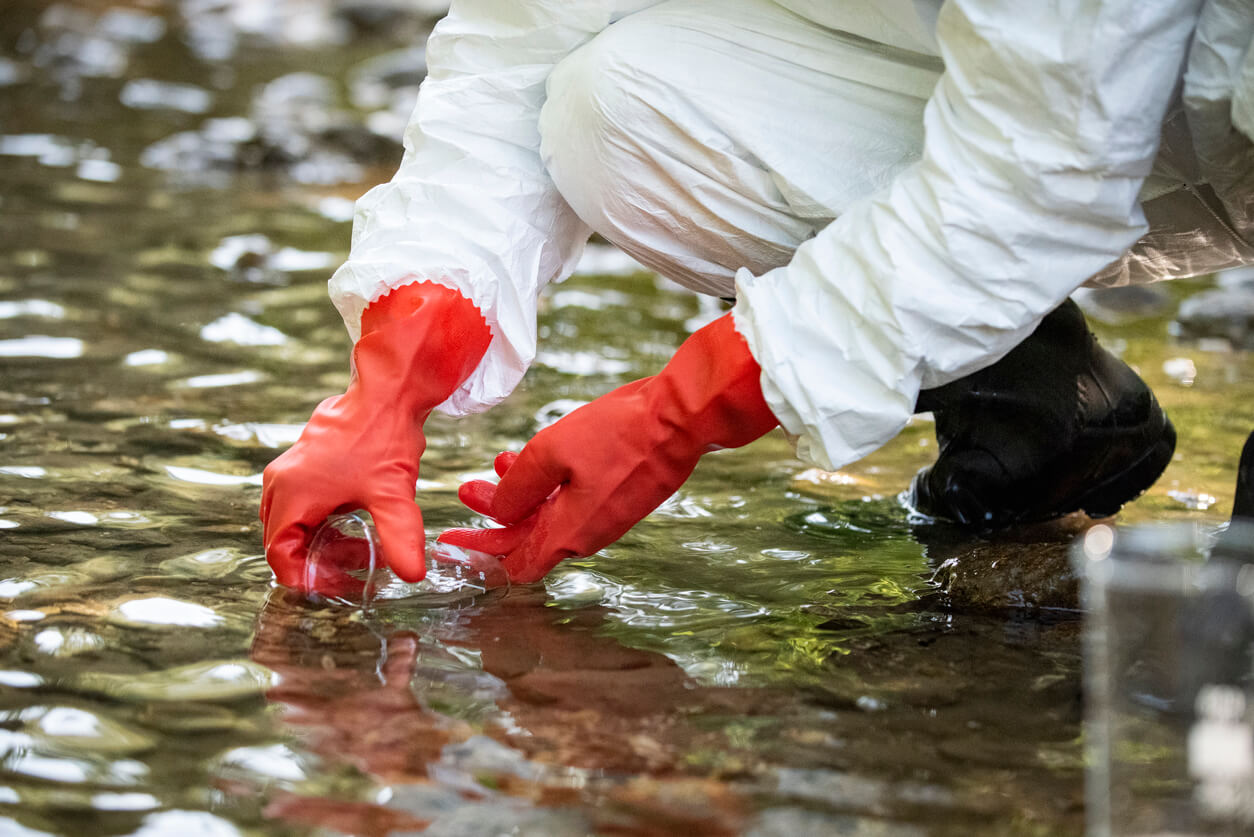 Scientist examining toxic water samples