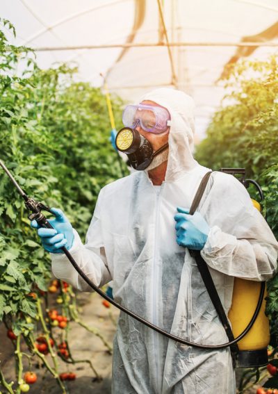 Man spraying pesticide