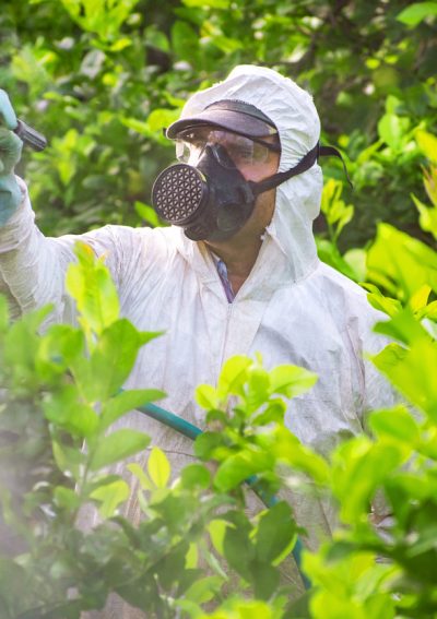 Farm worker spraying pesticide
