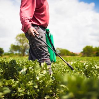 Farmer spraying crops with a pesticide