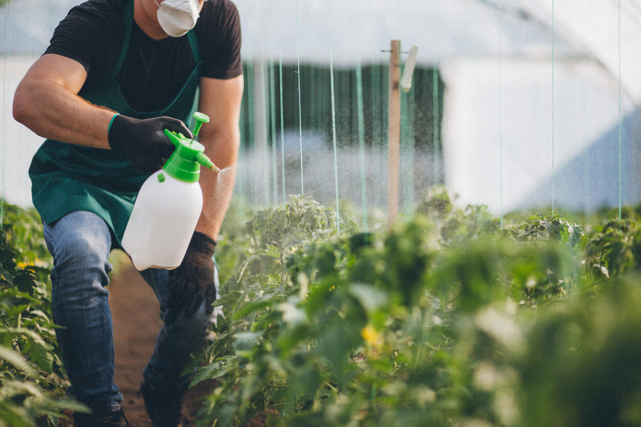 Man spraying plants with herbicide