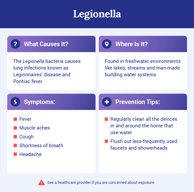 Graphic explaining what legionella is.