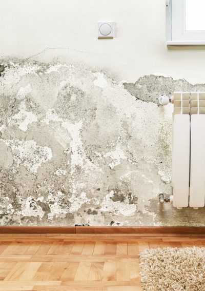 Mold on the wall of a house.