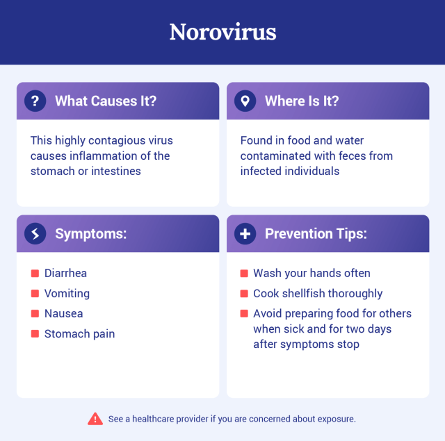 Graphic explaining what norovirus is.