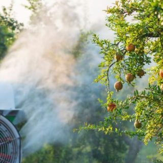Tractor spraying pesticide on fruit trees