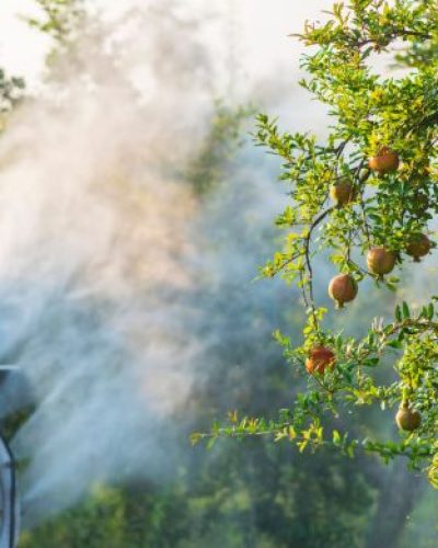 Tractor spraying pesticide on fruit trees