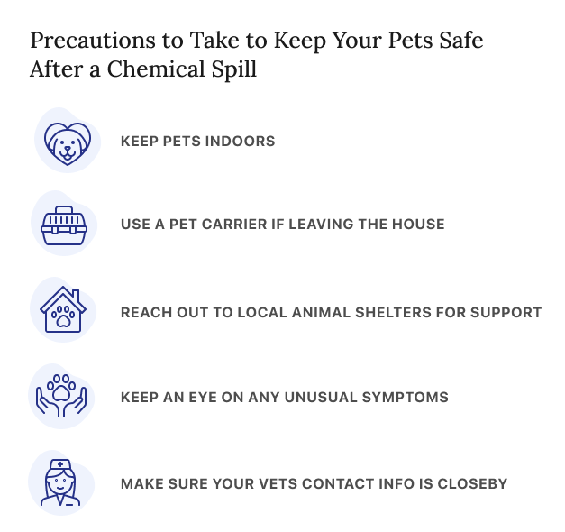 precautions to take to keep your pets safe after a chemical spill
