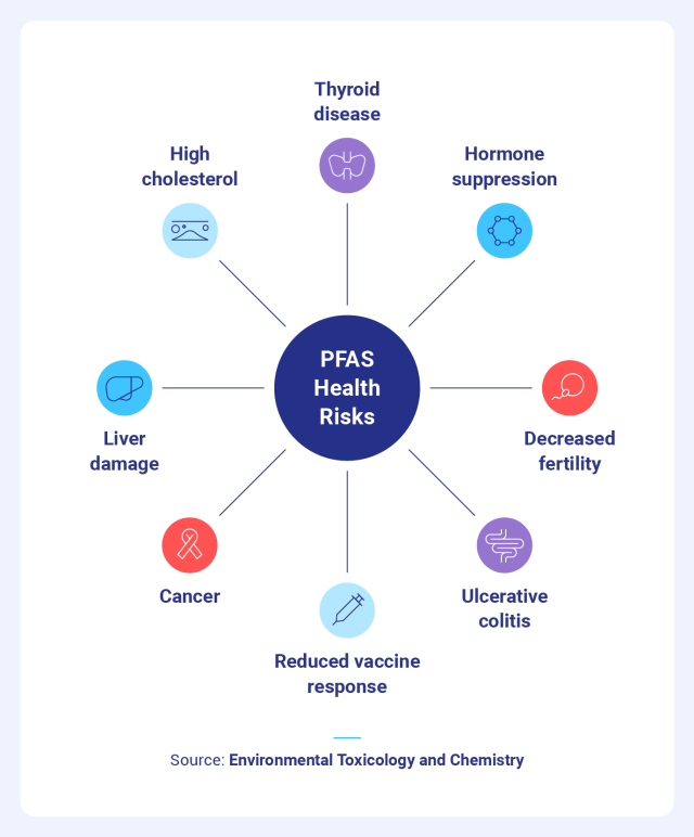 Graphic showing the health and environmental risks of PFAS.
