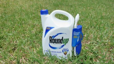 Container of Roundup pesticide on grass lawn.
