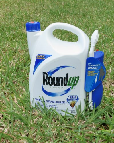 Container of Roundup pesticide on grass lawn.