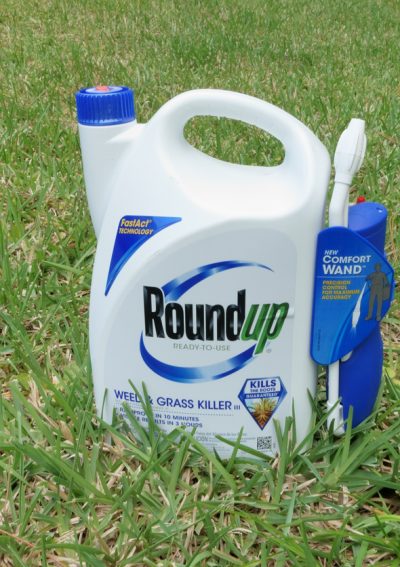 Container of Roundup pesticide on grass lawn.