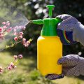 Roundup alternative spray