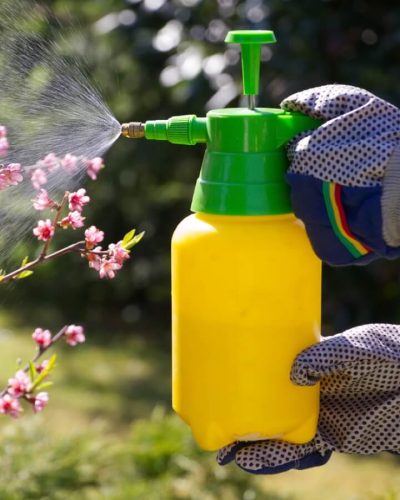 Roundup alternative spray