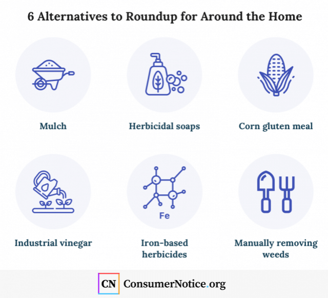 Infographic that displays 6 alternatives to Roundup for around the home