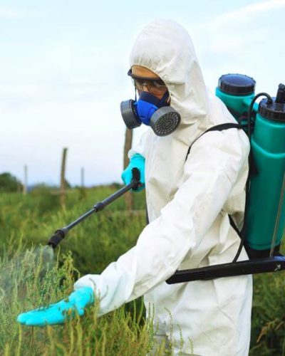 Spraying plants with pesticides